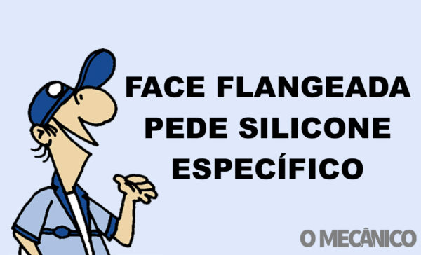 Abílio Responde: Face flangeada pede silicone específico
