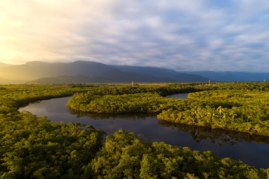 Cenário focado no meio ambiente